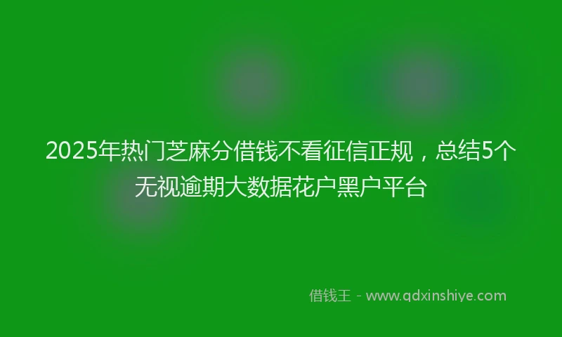 2025年热门芝麻分借钱不看征信正规，总结5个无视逾期大数据花户黑户平台