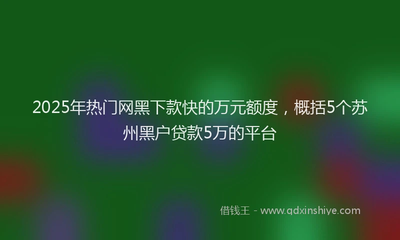 2025年热门网黑下款快的万元额度，概括5个苏州黑户贷款5万的平台