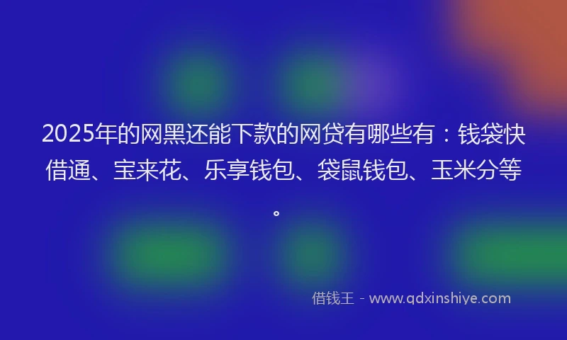2025年的网黑还能下款的网贷有哪些有：钱袋快借通、宝来花、乐享钱包、袋鼠钱包、玉米分等。