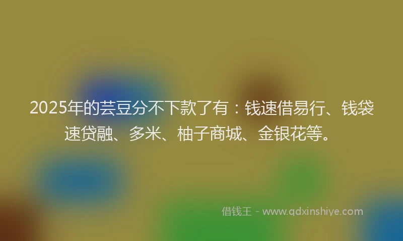 2025年的芸豆分不下款了有：钱速借易行、钱袋速贷融、多米、柚子商城、金银花等。