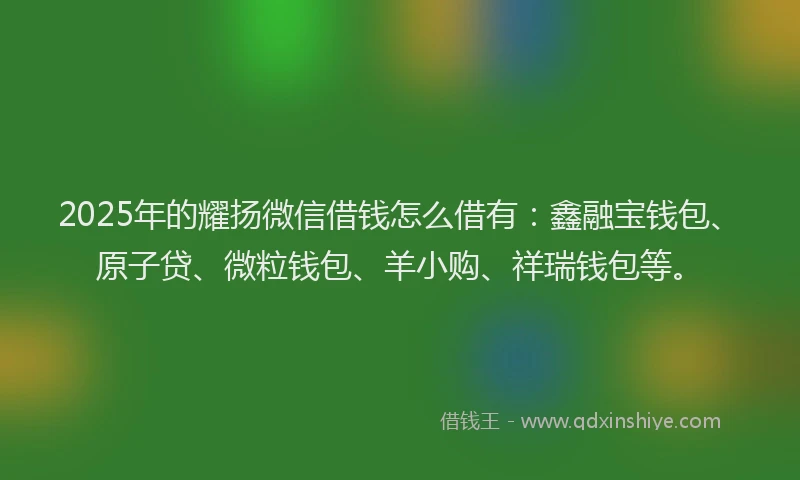 2025年的耀扬微信借钱怎么借有：鑫融宝钱包、原子贷、微粒钱包、羊小购、祥瑞钱包等。