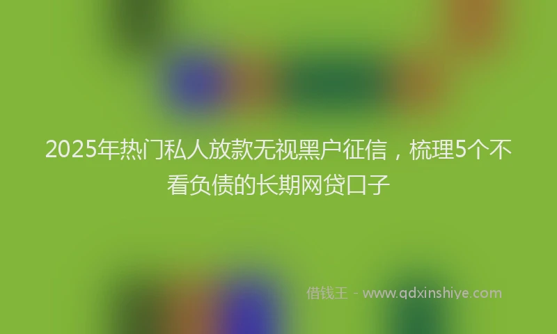 2025年热门私人放款无视黑户征信，梳理5个不看负债的长期网贷口子