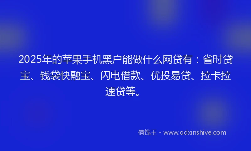 2025年的苹果手机黑户能做什么网贷有：省时贷宝、钱袋快融宝、闪电借款、优投易贷、拉卡拉速贷等。