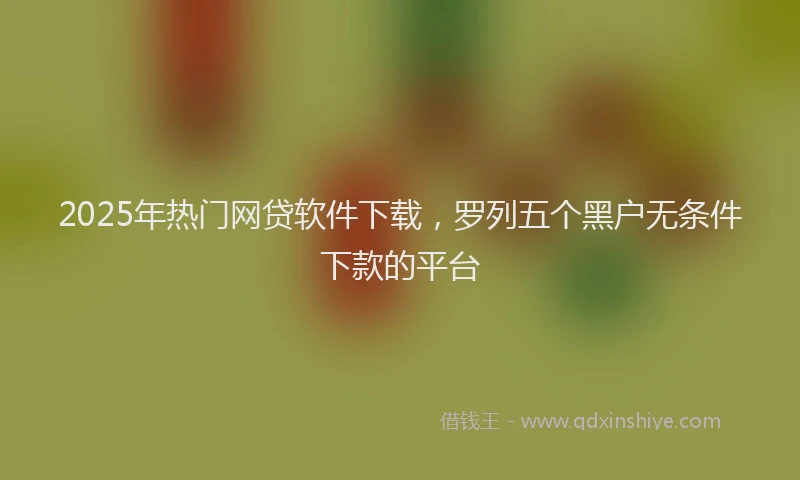2025年热门网贷软件下载，罗列五个黑户无条件下款的平台