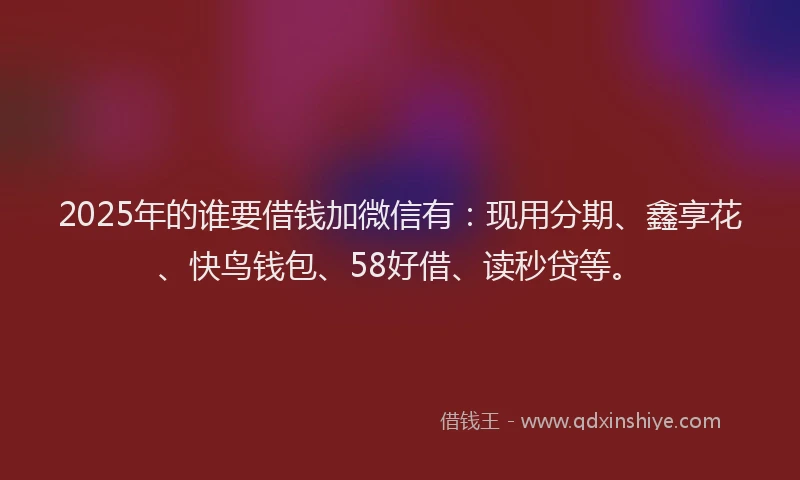 2025年的谁要借钱加微信有：现用分期、鑫享花、快鸟钱包、58好借、读秒贷等。
