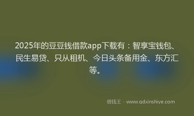 2025年的豆豆钱借款app下载有：智享宝钱包、民生易贷、只从租机、今日头条备用金、东方汇等。