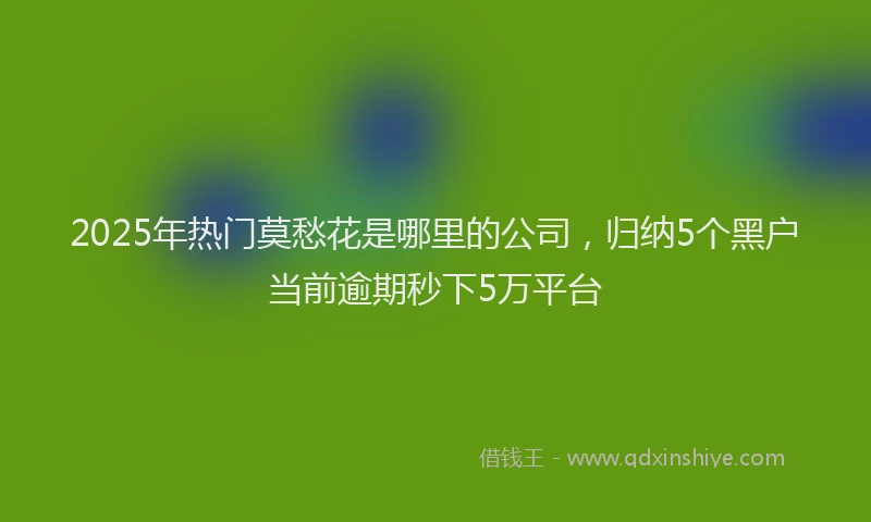 2025年热门莫愁花是哪里的公司，归纳5个黑户当前逾期秒下5万平台