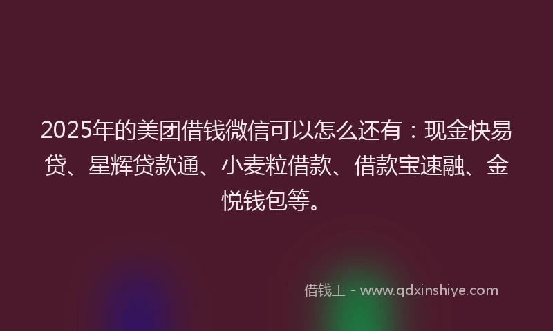 2025年的美团借钱微信可以怎么还有：现金快易贷、星辉贷款通、小麦粒借款、借款宝速融、金悦钱包等。