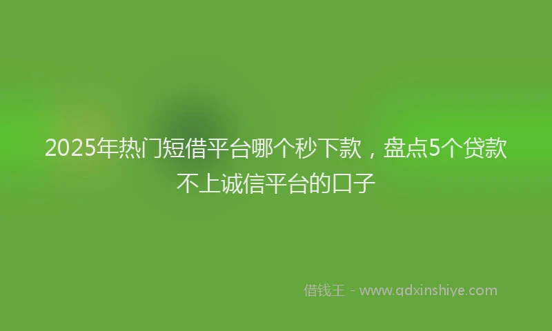 2025年热门短借平台哪个秒下款，盘点5个贷款不上诚信平台的口子