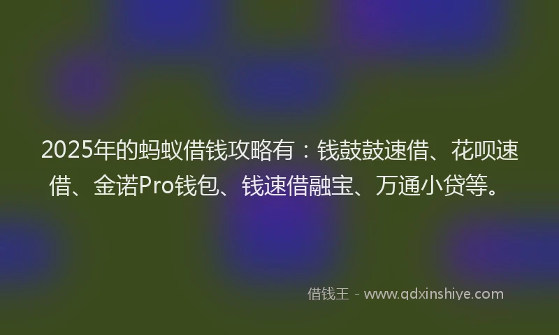 2025年的蚂蚁借钱攻略有：钱鼓鼓速借、花呗速借、金诺Pro钱包、钱速借融宝、万通小贷等。