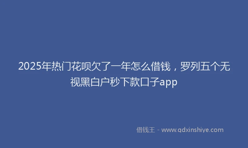 2025年热门花呗欠了一年怎么借钱，罗列五个无视黑白户秒下款口子app