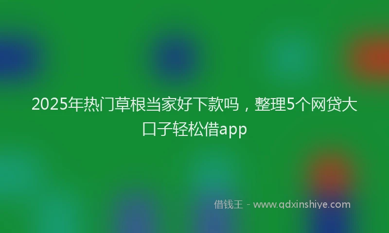 2025年热门草根当家好下款吗，整理5个网贷大口子轻松借app