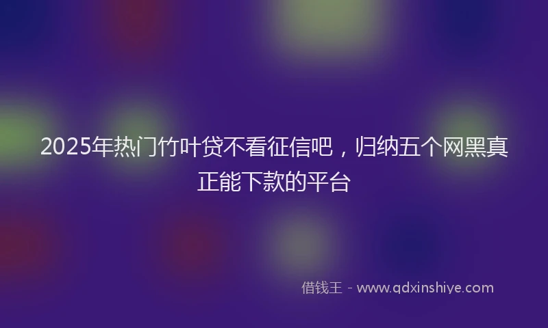 2025年热门竹叶贷不看征信吧，归纳五个网黑真正能下款的平台