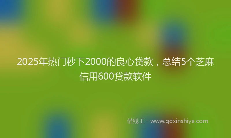 2025年热门秒下2000的良心贷款，总结5个芝麻信用600贷款软件