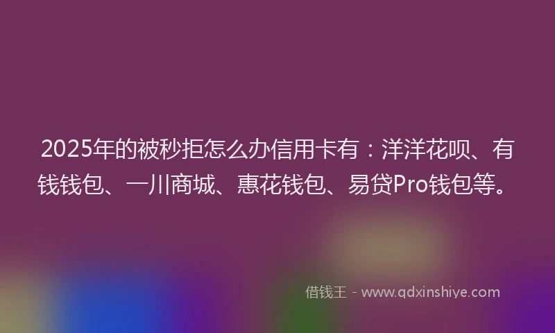 2025年的被秒拒怎么办信用卡有：洋洋花呗、有钱钱包、一川商城、惠花钱包、易贷Pro钱包等。