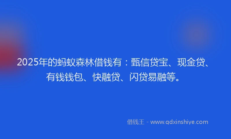2025年的蚂蚁森林借钱有：甄信贷宝、现金贷、有钱钱包、快融贷、闪贷易融等。