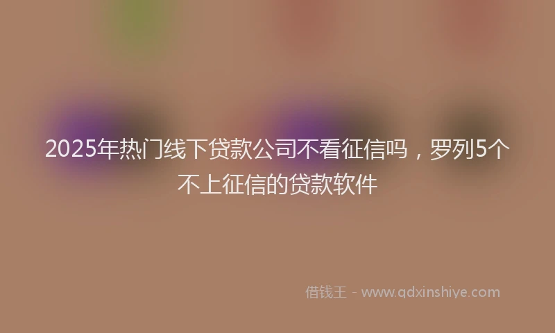 2025年热门线下贷款公司不看征信吗，罗列5个不上征信的贷款软件
