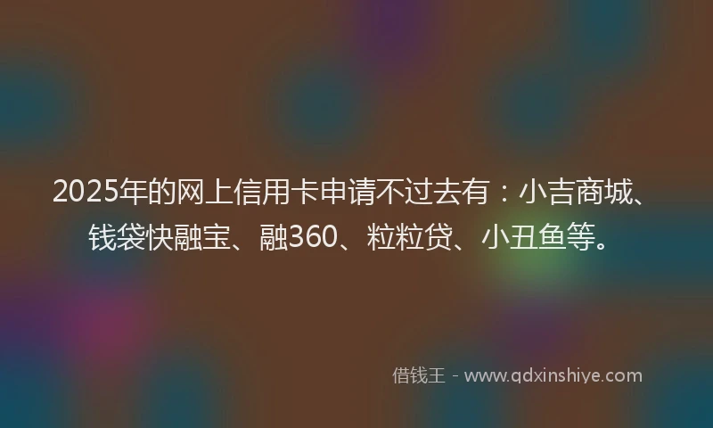 2025年的网上信用卡申请不过去有：小吉商城、钱袋快融宝、融360、粒粒贷、小丑鱼等。