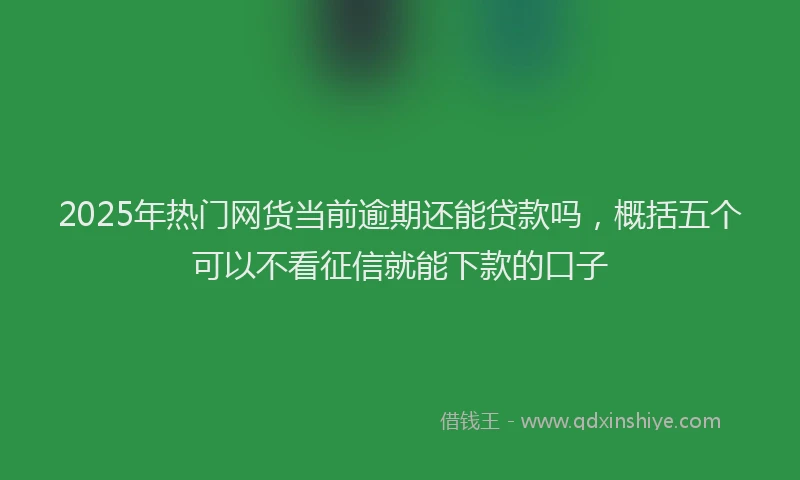 2025年热门网货当前逾期还能贷款吗，概括五个可以不看征信就能下款的口子