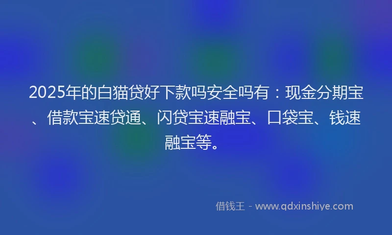 2025年的白猫贷好下款吗安全吗有：现金分期宝、借款宝速贷通、闪贷宝速融宝、口袋宝、钱速融宝等。