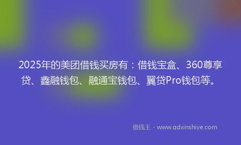 2025年的美团借钱买房有：借钱宝盒、360尊享贷、鑫融钱包、融通宝钱包、翼贷Pro钱包等。