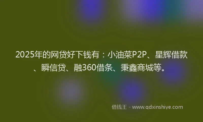 2025年的网贷好下钱有：小油菜P2P、星辉借款、瞬信贷、融360借条、秉鑫商城等。