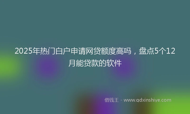 2025年热门白户申请网贷额度高吗，盘点5个12月能贷款的软件