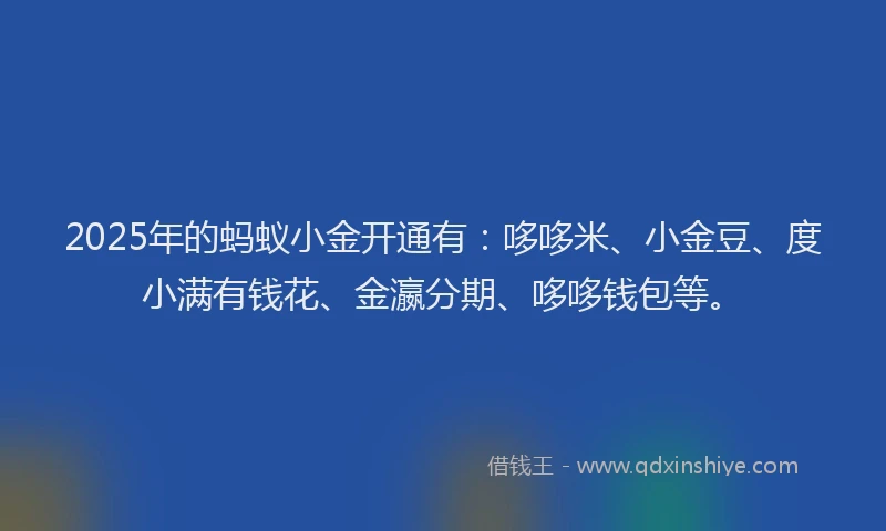 2025年的蚂蚁小金开通有：哆哆米、小金豆、度小满有钱花、金瀛分期、哆哆钱包等。