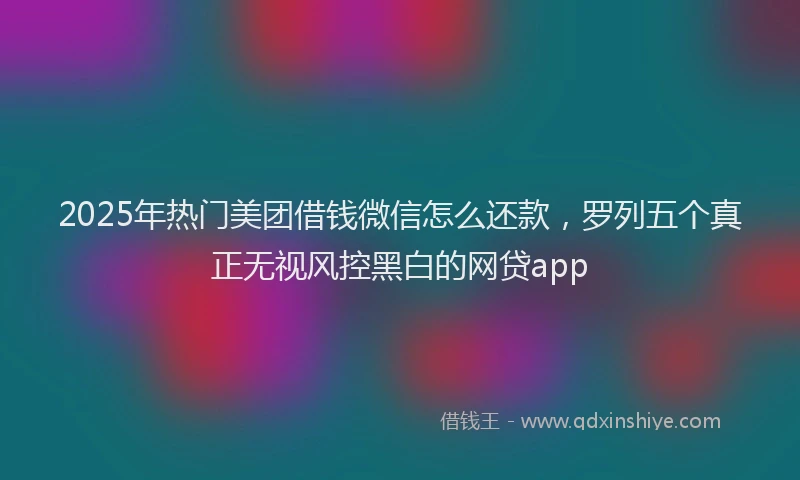 2025年热门美团借钱微信怎么还款，罗列五个真正无视风控黑白的网贷app