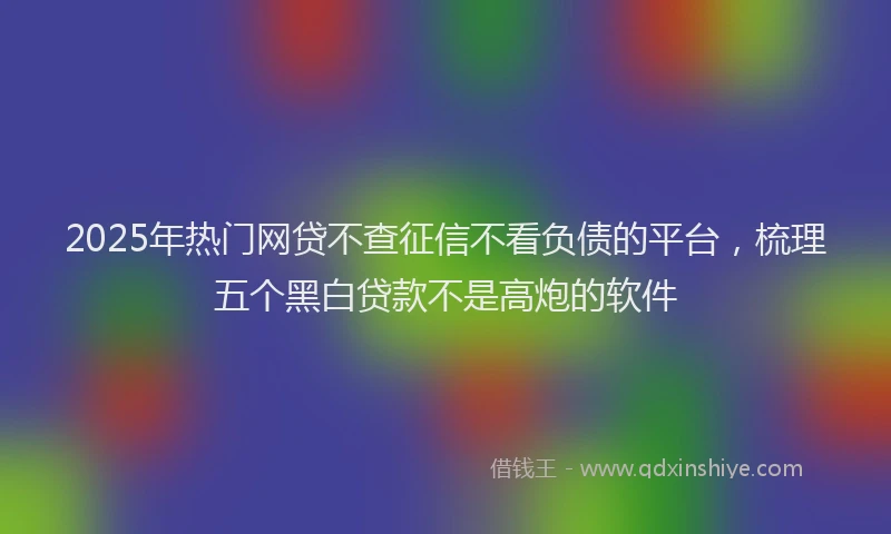 2025年热门网贷不查征信不看负债的平台，梳理五个黑白贷款不是高炮的软件