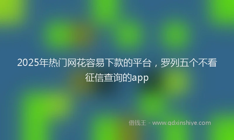 2025年热门网花容易下款的平台，罗列五个不看征信查询的app
