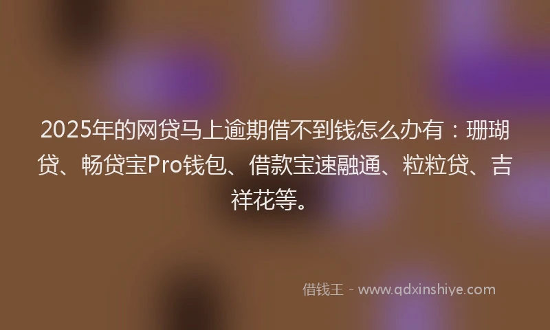 2025年的网贷马上逾期借不到钱怎么办有：珊瑚贷、畅贷宝Pro钱包、借款宝速融通、粒粒贷、吉祥花等。