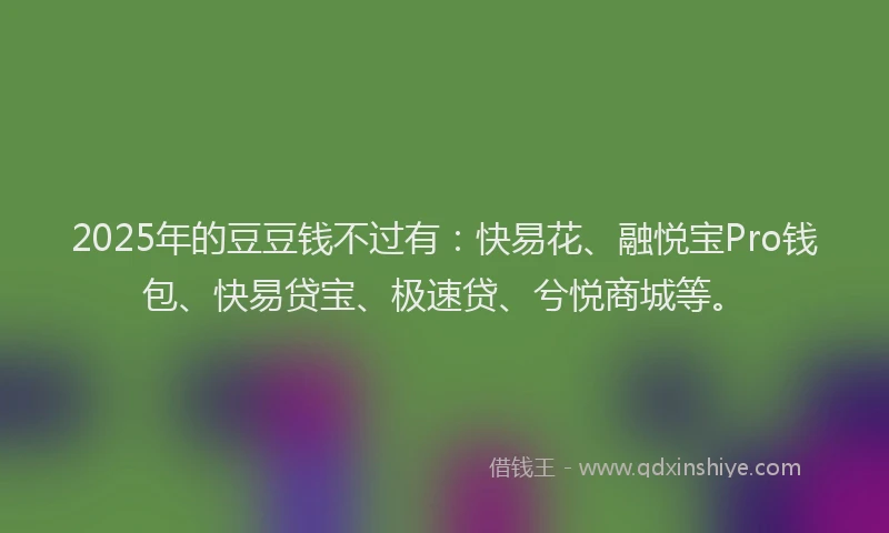 2025年的豆豆钱不过有：快易花、融悦宝Pro钱包、快易贷宝、极速贷、兮悦商城等。