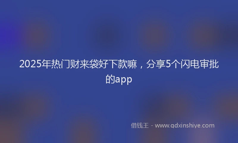 2025年热门财来袋好下款嘛，分享5个闪电审批的app