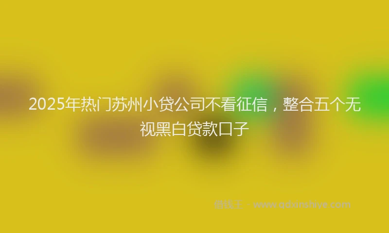 2025年热门苏州小贷公司不看征信，整合五个无视黑白贷款口子