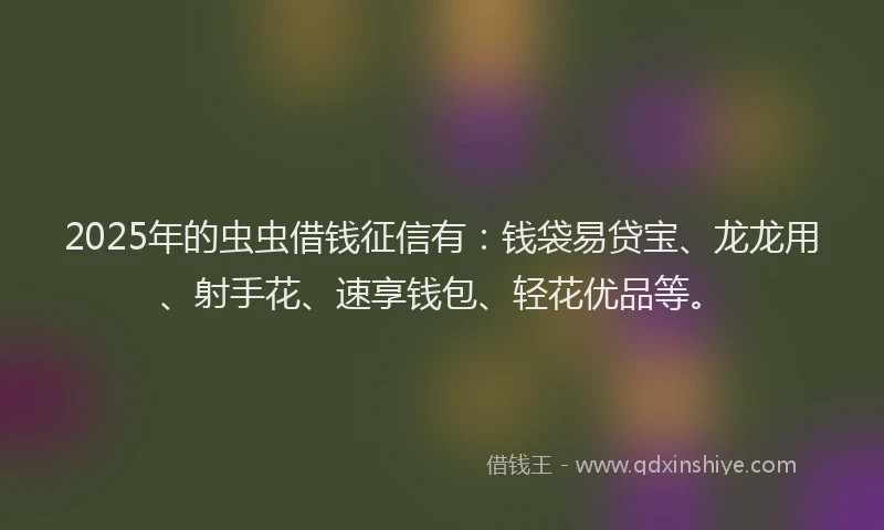 2025年的虫虫借钱征信有：钱袋易贷宝、龙龙用、射手花、速享钱包、轻花优品等。