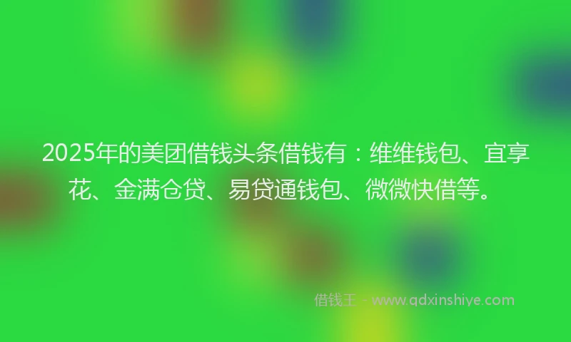 2025年的美团借钱头条借钱有：维维钱包、宜享花、金满仓贷、易贷通钱包、微微快借等。