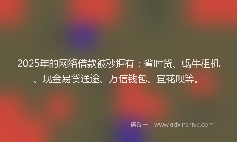 2025年的网络借款被秒拒有：省时贷、蜗牛租机、现金易贷通途、万信钱包、宜花呗等。