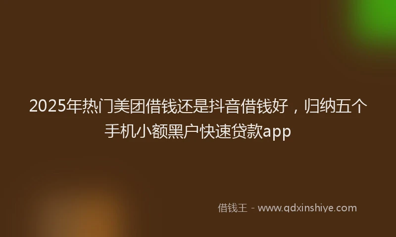 2025年热门美团借钱还是抖音借钱好，归纳五个手机小额黑户快速贷款app
