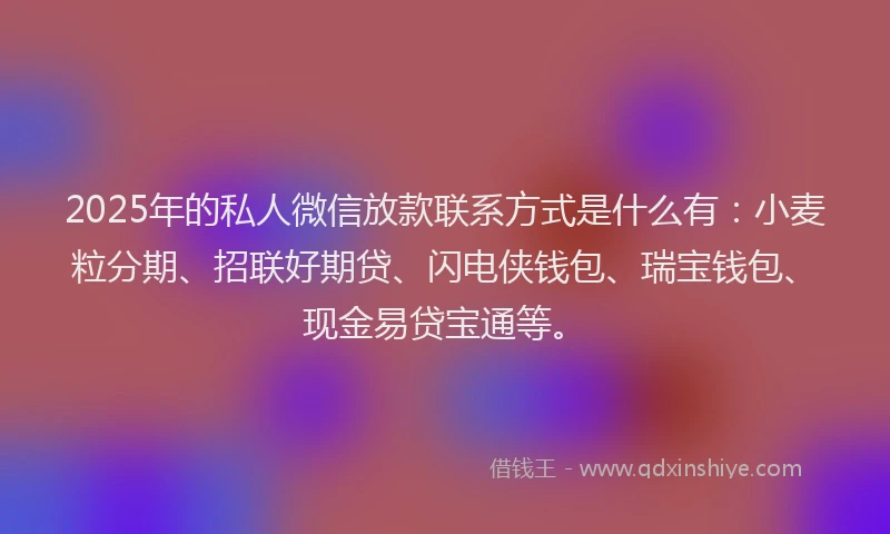 2025年的私人微信放款联系方式是什么有：小麦粒分期、招联好期贷、闪电侠钱包、瑞宝钱包、现金易贷宝通等。