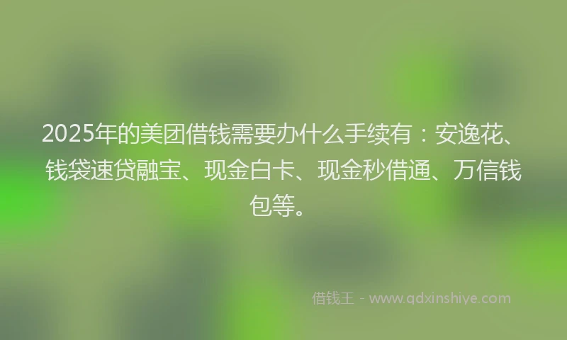 2025年的美团借钱需要办什么手续有：安逸花、钱袋速贷融宝、现金白卡、现金秒借通、万信钱包等。