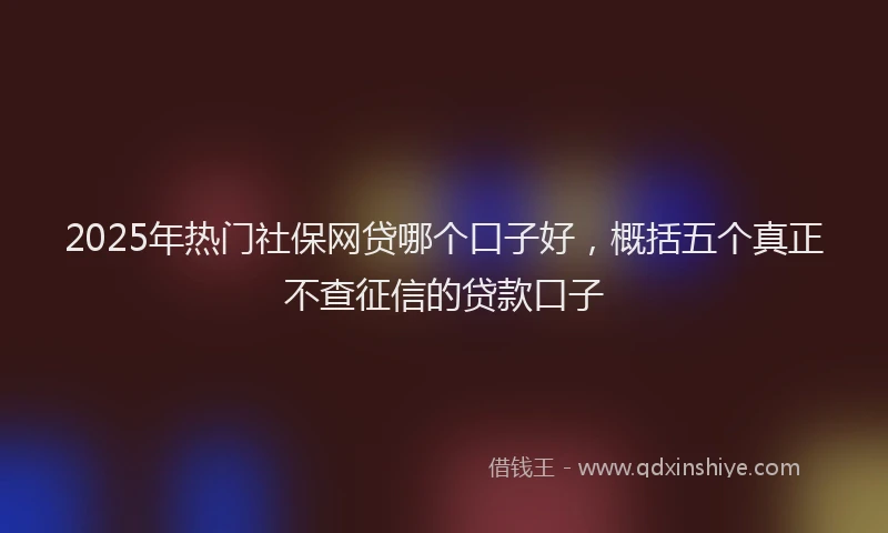 2025年热门社保网贷哪个口子好，概括五个真正不查征信的贷款口子