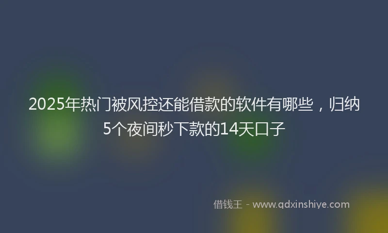 2025年热门被风控还能借款的软件有哪些，归纳5个夜间秒下款的14天口子