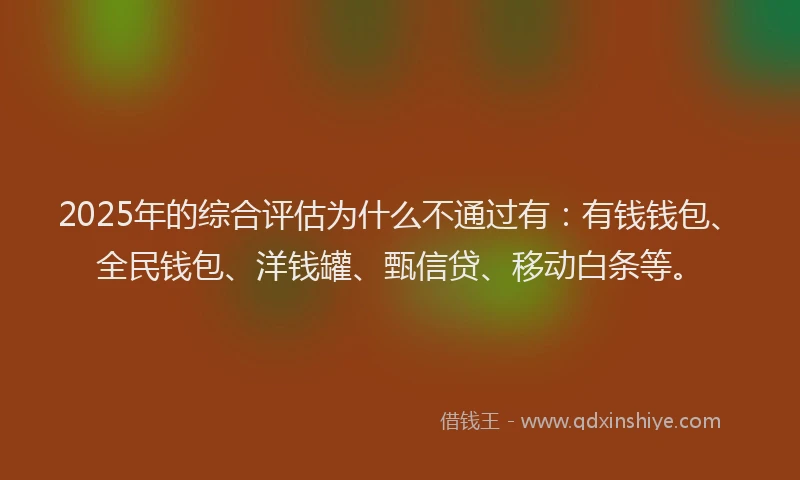 2025年的综合评估为什么不通过有：有钱钱包、全民钱包、洋钱罐、甄信贷、移动白条等。