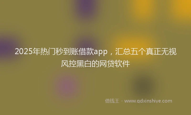 2025年热门秒到账借款app，汇总五个真正无视风控黑白的网贷软件