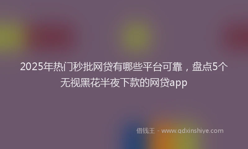 2025年热门秒批网贷有哪些平台可靠，盘点5个无视黑花半夜下款的网贷app