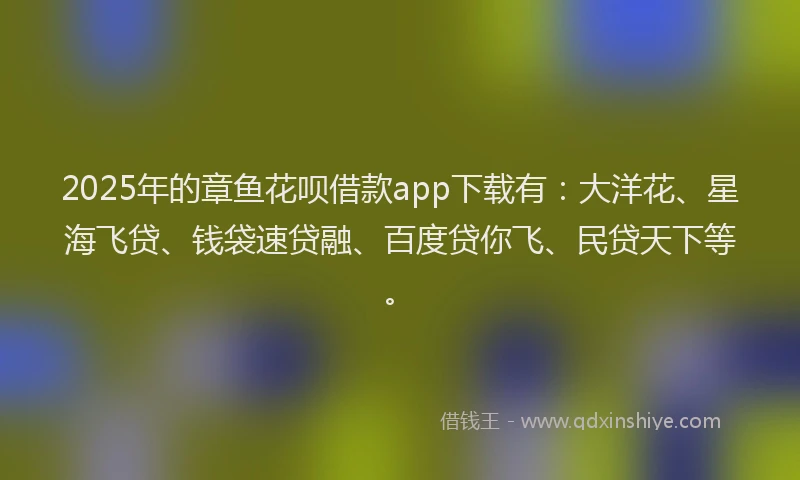 2025年的章鱼花呗借款app下载有：大洋花、星海飞贷、钱袋速贷融、百度贷你飞、民贷天下等。