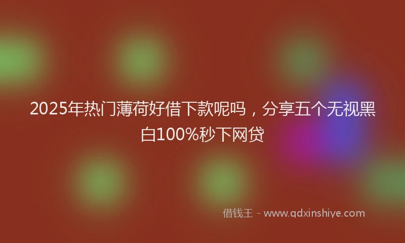 2025年热门薄荷好借下款呢吗，分享五个无视黑白100%秒下网贷