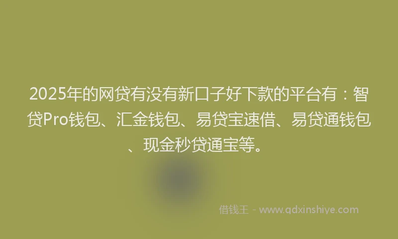 2025年的网贷有没有新口子好下款的平台有：智贷Pro钱包、汇金钱包、易贷宝速借、易贷通钱包、现金秒贷通宝等。