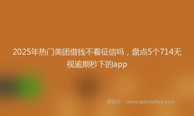 2025年热门美团借钱不看征信吗，盘点5个714无视逾期秒下的app